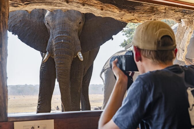 Sable Valley Hwange National Park Luxury Family Safaris Zimbabwe Coral Tree Travel