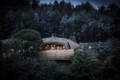 Wilderness Bisate Volcanoes National Park Luxury Family Safaris Rwanda Coral Tree Travel