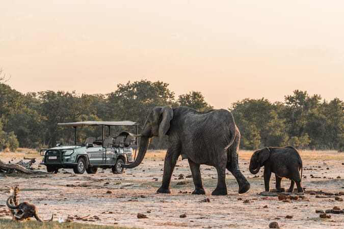 Little Makalolo Hwange National Park Luxury Family Safaris Zimbabwe Coral Tree Travel