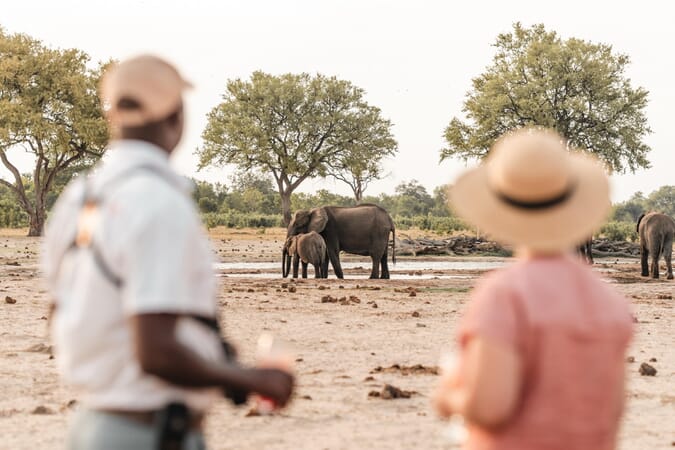 Little Makalolo Hwange National Park Luxury Family Safaris Zimbabwe Coral Tree Travel