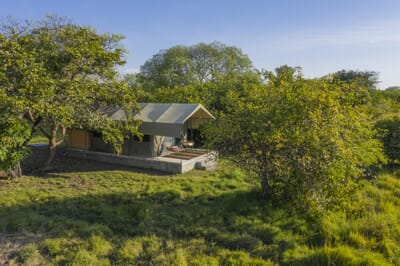 Shoebill Island Camp Bangweulu Wetlands Luxury Family Safaris Zambia Coral Tree Travel