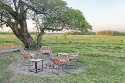 Shoebill Island Camp Bangweulu Wetlands Luxury Family Safaris Zambia Coral Tree Travel