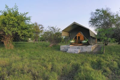 Shoebill Island Camp Bangweulu Wetlands Luxury Family Safaris Zambia Coral Tree Travel