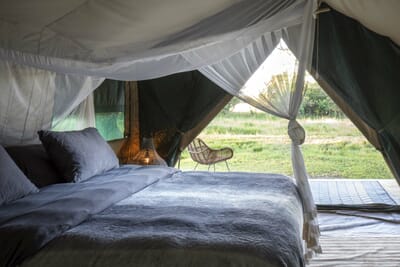 Shoebill Island Camp Bangweulu Wetlands Luxury Family Safaris Zambia Coral Tree Travel
