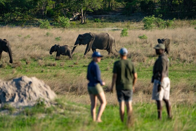 Sable Valley Hwange National Park Luxury Family Safaris Zimbabwe Coral Tree Travel