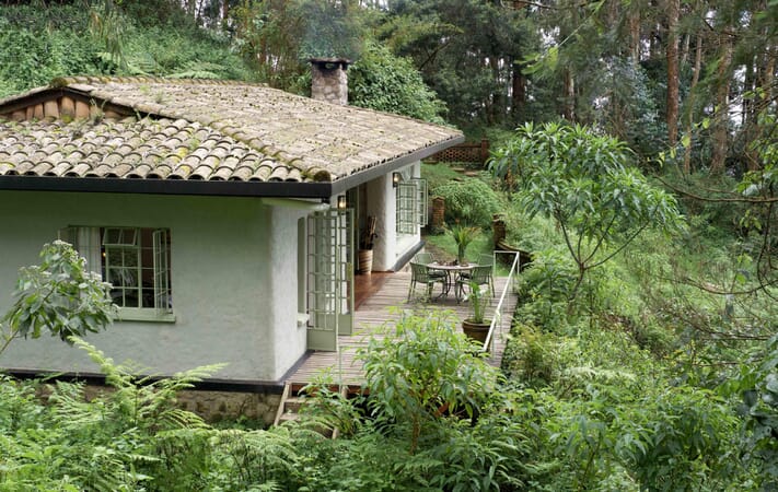 Wilderness Sabyinyo Volcanoes National Park Luxury Family Safaris Rwanda Coral Tree Travel