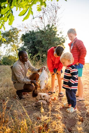 Fothergill Island Lake Kariba and Matusadona National Park Luxury Family Safaris Zimbabwe Coral Tree Travel