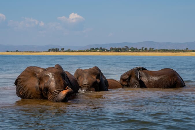 Fothergill Island Lake Kariba and Matusadona National Park Luxury Family Safaris Zimbabwe Coral Tree Travel