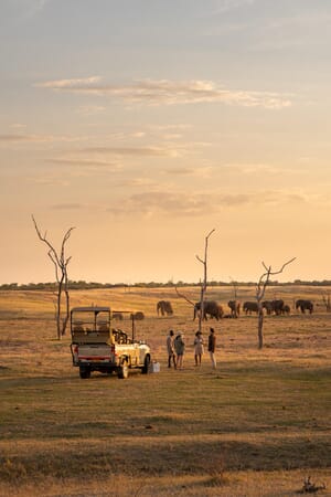Fothergill Lake Kariba Luxury Family Safaris Zimbabwe