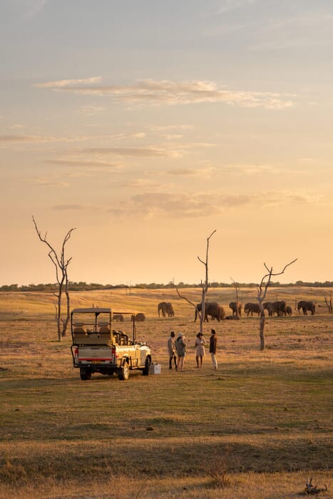 Fothergill Lake Kariba Luxury Family Safaris Zimbabwe