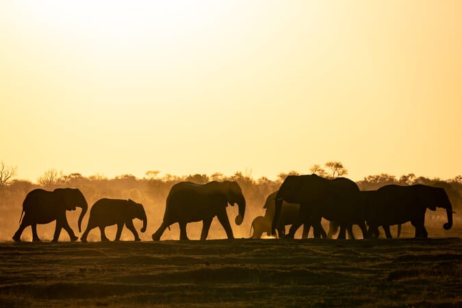 Wilderness Little Makalolo Hwange National Park Luxury Family Safaris Zimbabwe