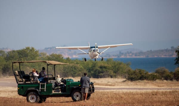 Musango Safari Camp Lake Kariba Luxury Family Safaris Zimbabwe Coral Tree Travel