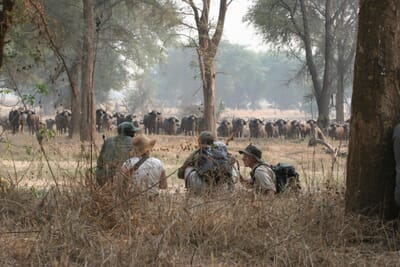 Hwange Bush Camp Hwange National Park Luxury Family Safaris Zimbabwe Coral Tree Travel