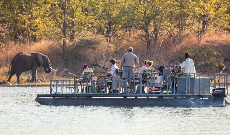 Musango Safari Camp Lake Kariba Luxury Family Safaris Zimbabwe Coral Tree Travel