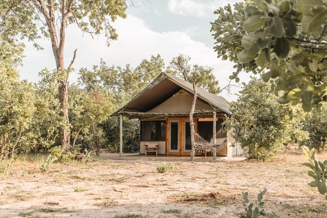 Little Makalolo Hwange National Park Luxury Family Safaris Zimbabwe Coral Tree Travel