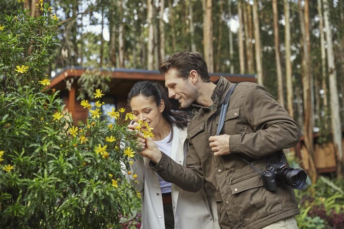 One&Only Gorilla’s Nest Volcanoes National Park Luxury Family Safaris Rwanda Coral Tree Travel