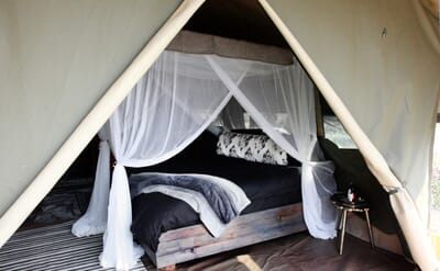 Shoebill Island Camp Bangweulu Wetlands Luxury Family Safaris Zambia Coral Tree Travel