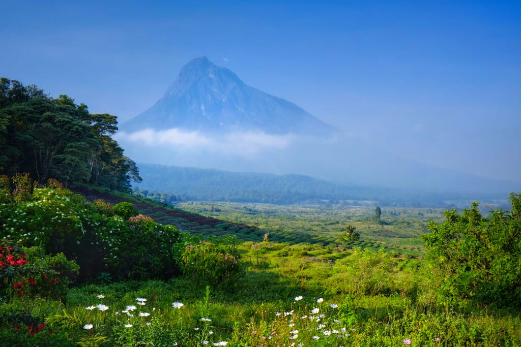 Volcanoes National Park Luxury Family Safaris Rwanda Coral Tree Travel