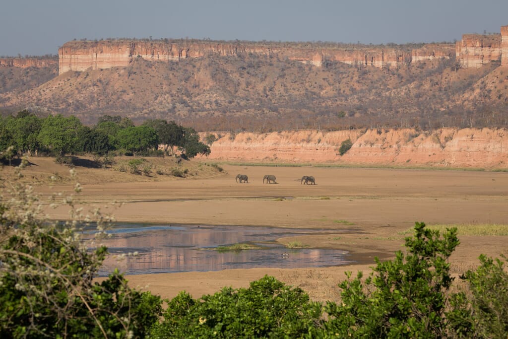 Gonarezhou Luxury Family Safaris Zimbabwe