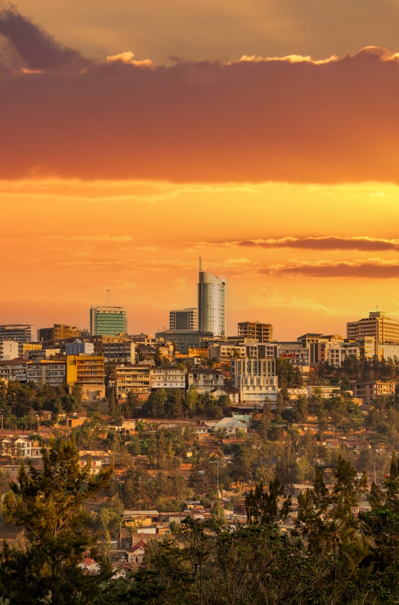 shutterstock_1852686091-1-scaled.jpg?w=791&h=1200&scale