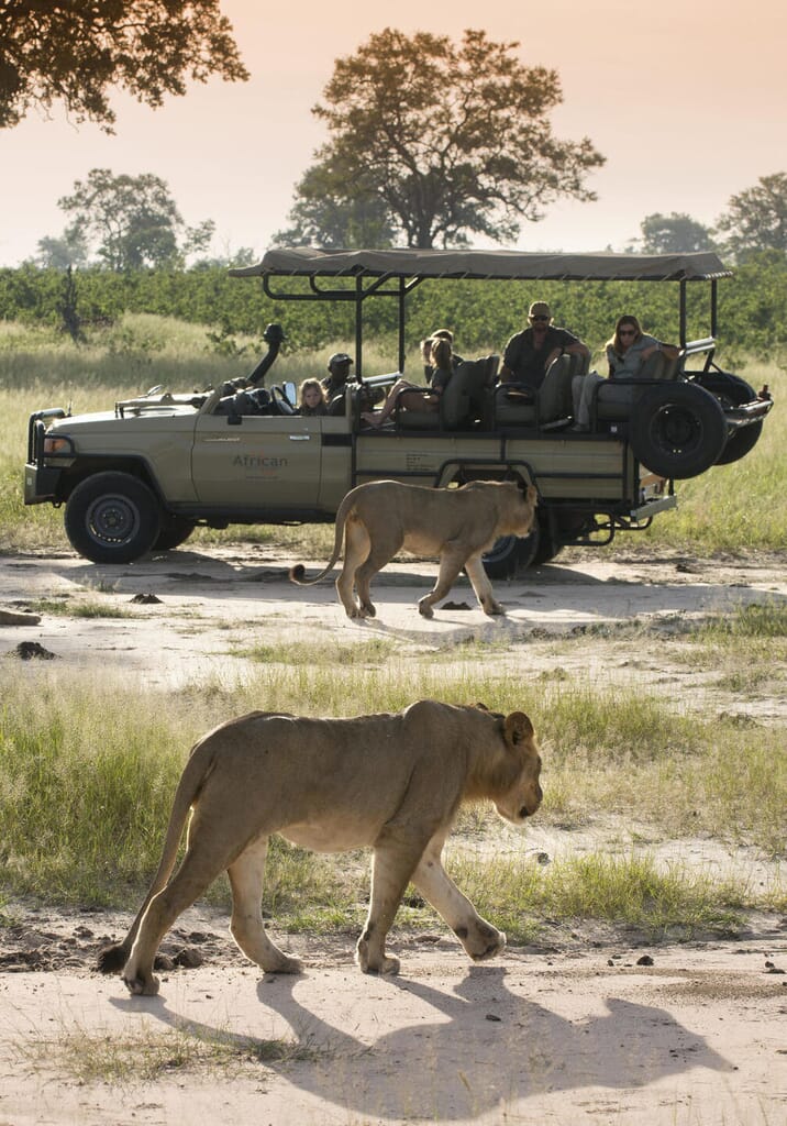 Somalisa Acacia Hwange National Park Luxury Family Safaris Zimbabwe Coral Tree Travel