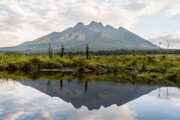 Singita Kwitonda Lodge Volcanoes National Park Luxury Family Safaris Rwanda Coral Tree Travel