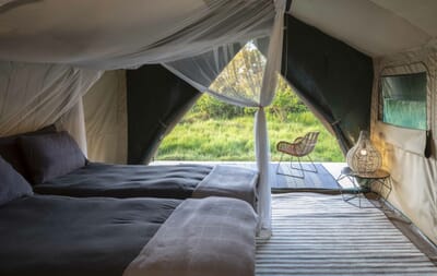 Shoebill Island Camp Bangweulu Wetlands Luxury Family Safaris Zambia Coral Tree Travel