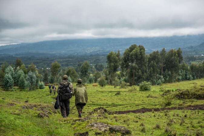 Wilderness Sabyinyo Volcanoes National Park Luxury Family Safaris Rwanda Coral Tree Travel