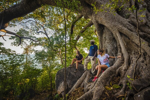 Blue Zebra Island Lodge Lake Malawi Luxury Family Safaris Coral Tree Travel