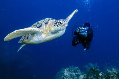 Anantara Bazaruto Luxury Family Safaris Mozambique Coral Tree Travel