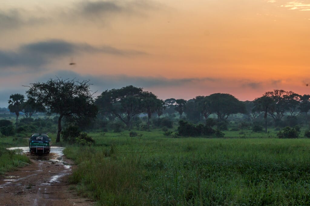 Murchison Falls National Park Luxury Family Safaris Uganda Coral Tree Travel