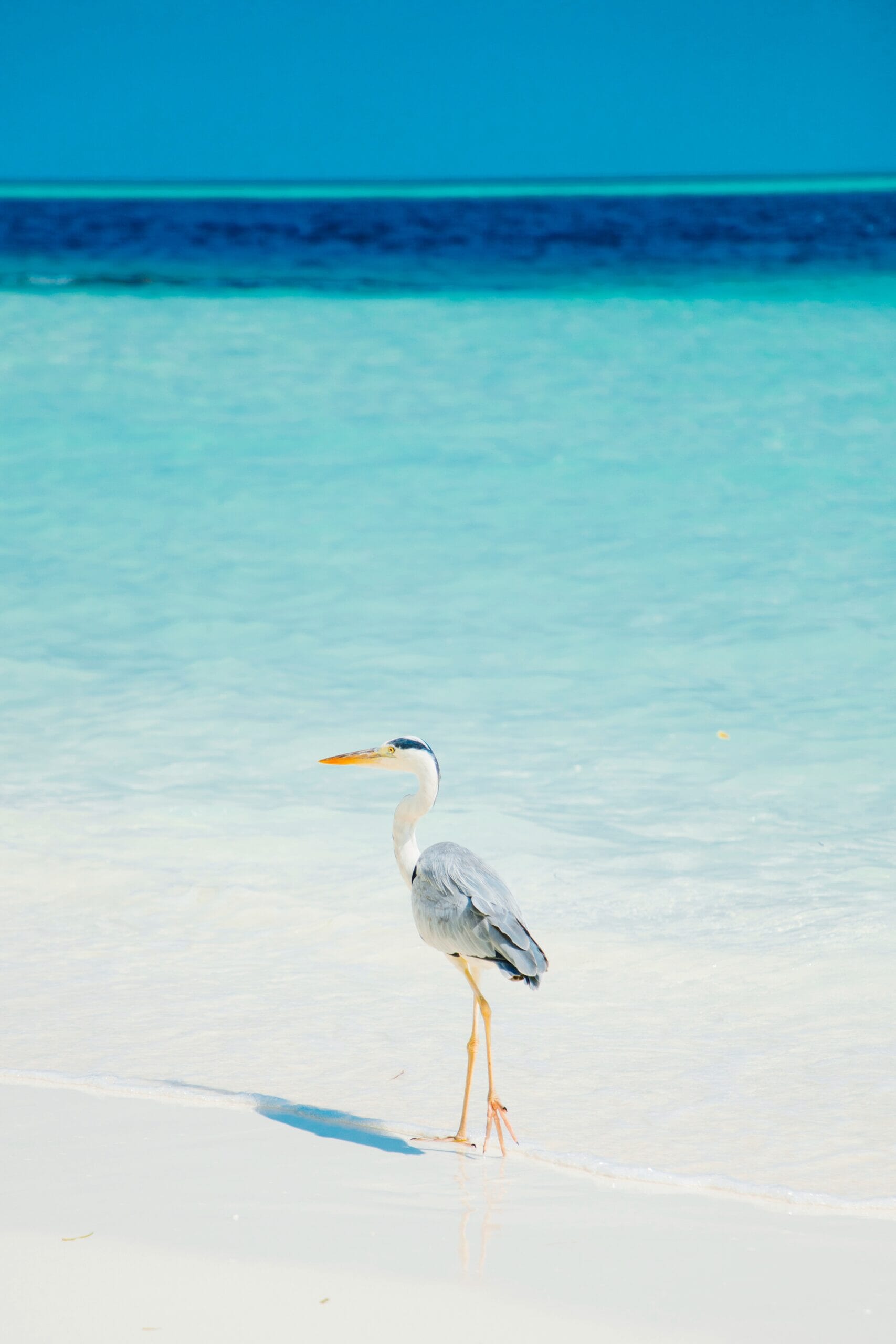 Maldives Luxury Family Holidays