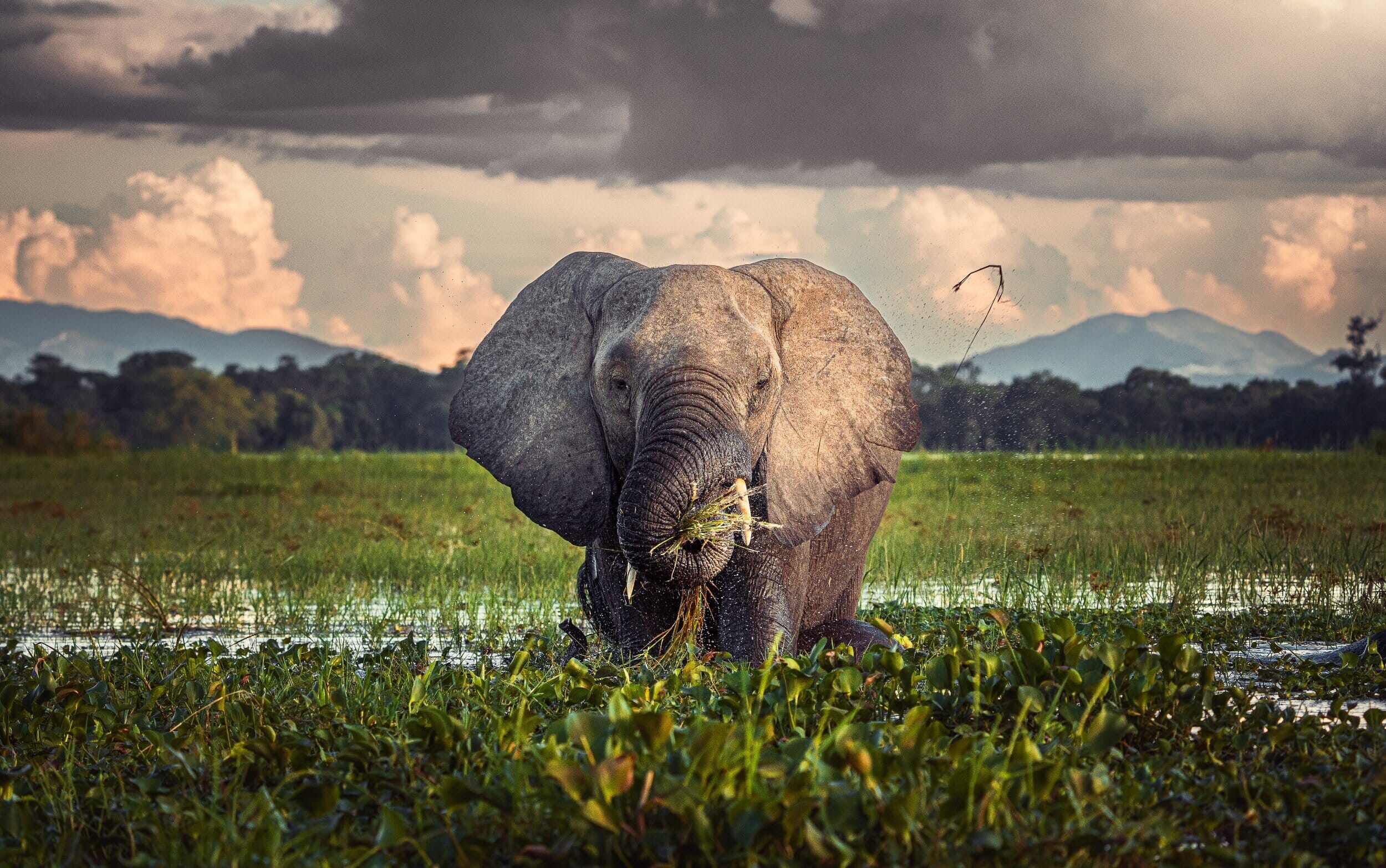 Malawi Family Safari Holidays