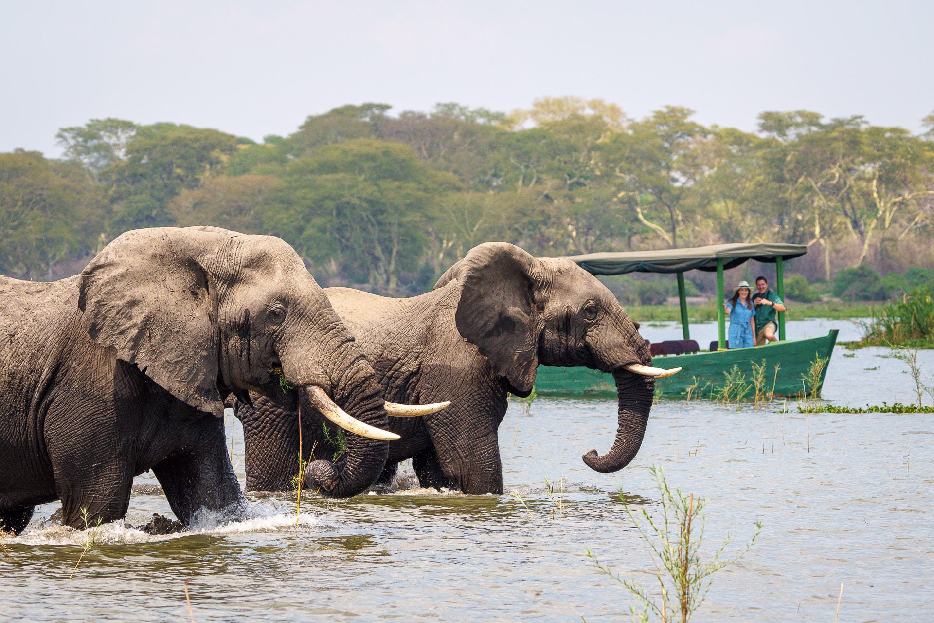 Malawi Family Safari Holidays