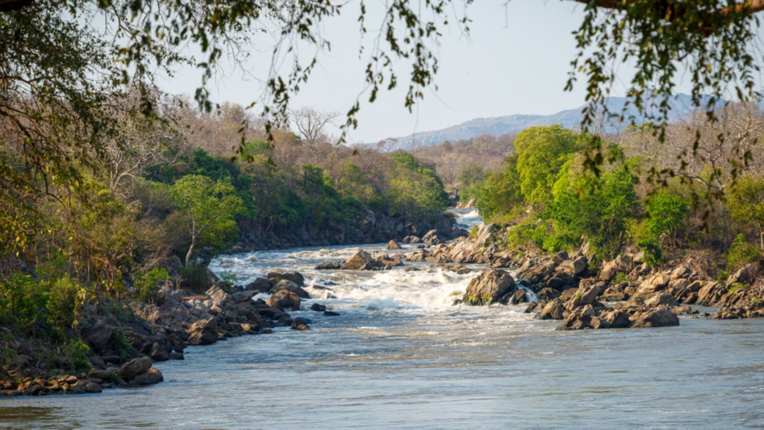 Majete Wildlife Reserve Malawi