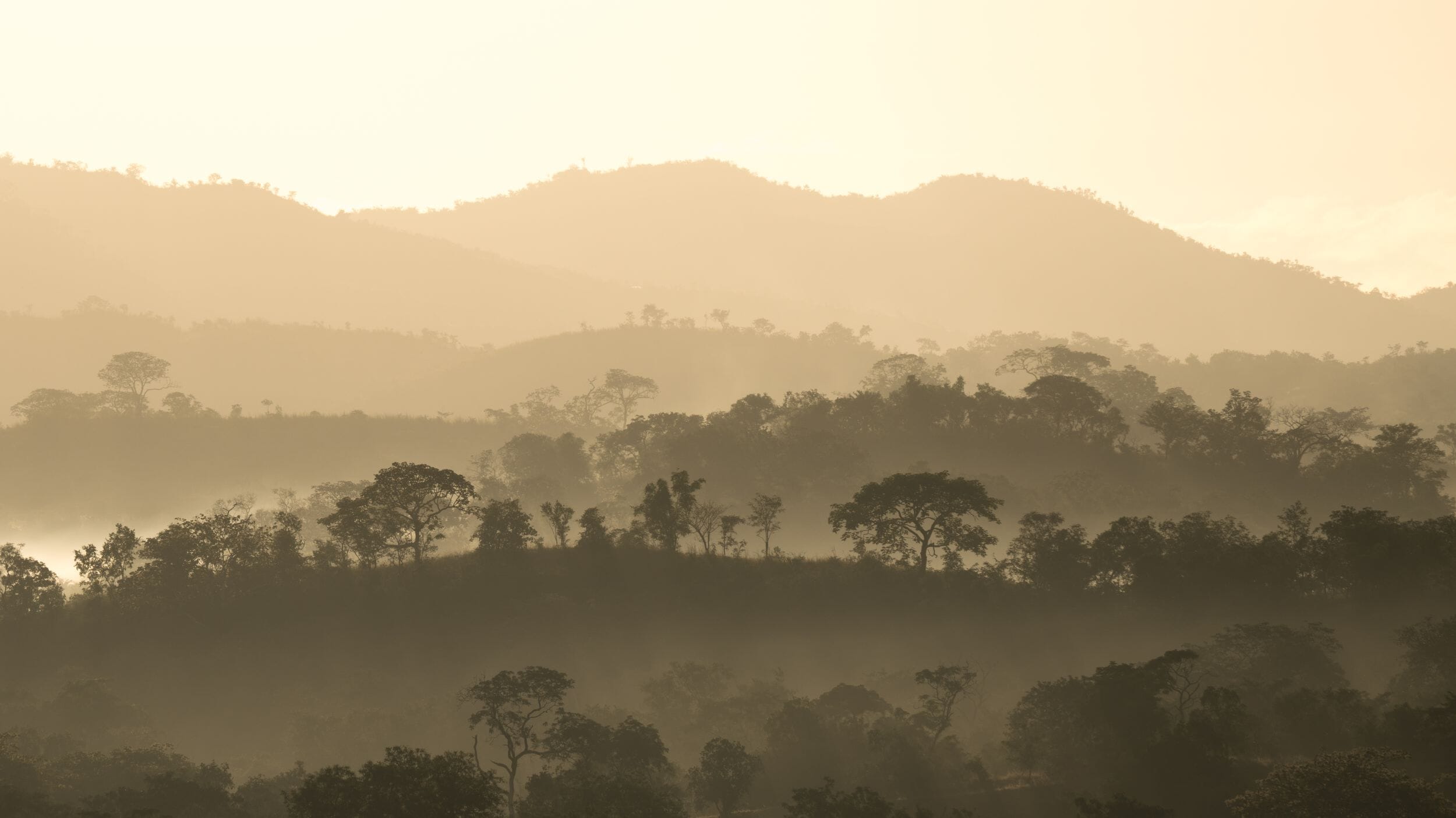 Majete Wildlife Reserve Malawi