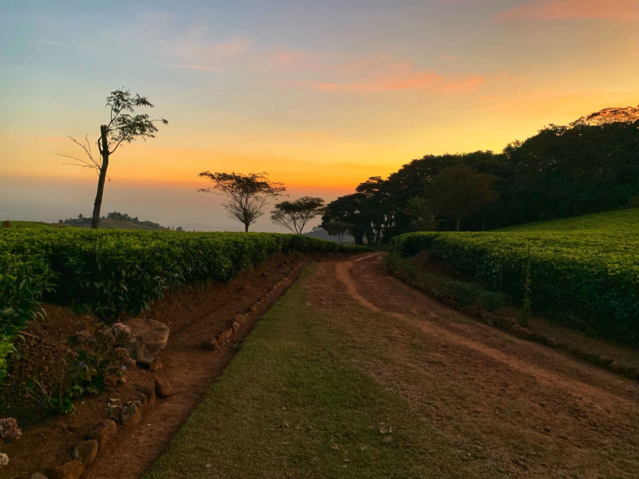 Malawi Luxury Family Safaris Coral Tree Travel