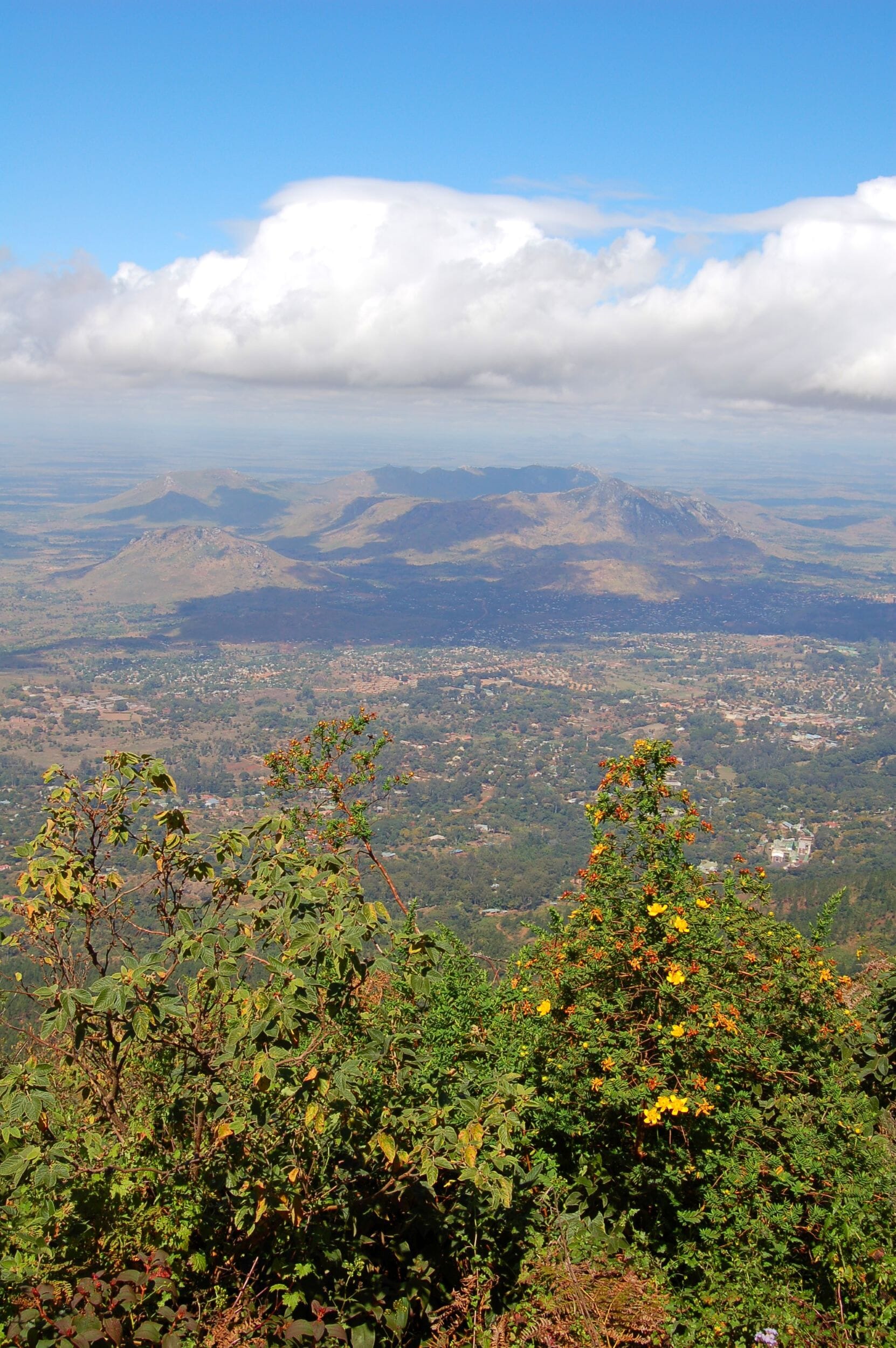 Zomba_4.jpg?w=465&h=700&scale