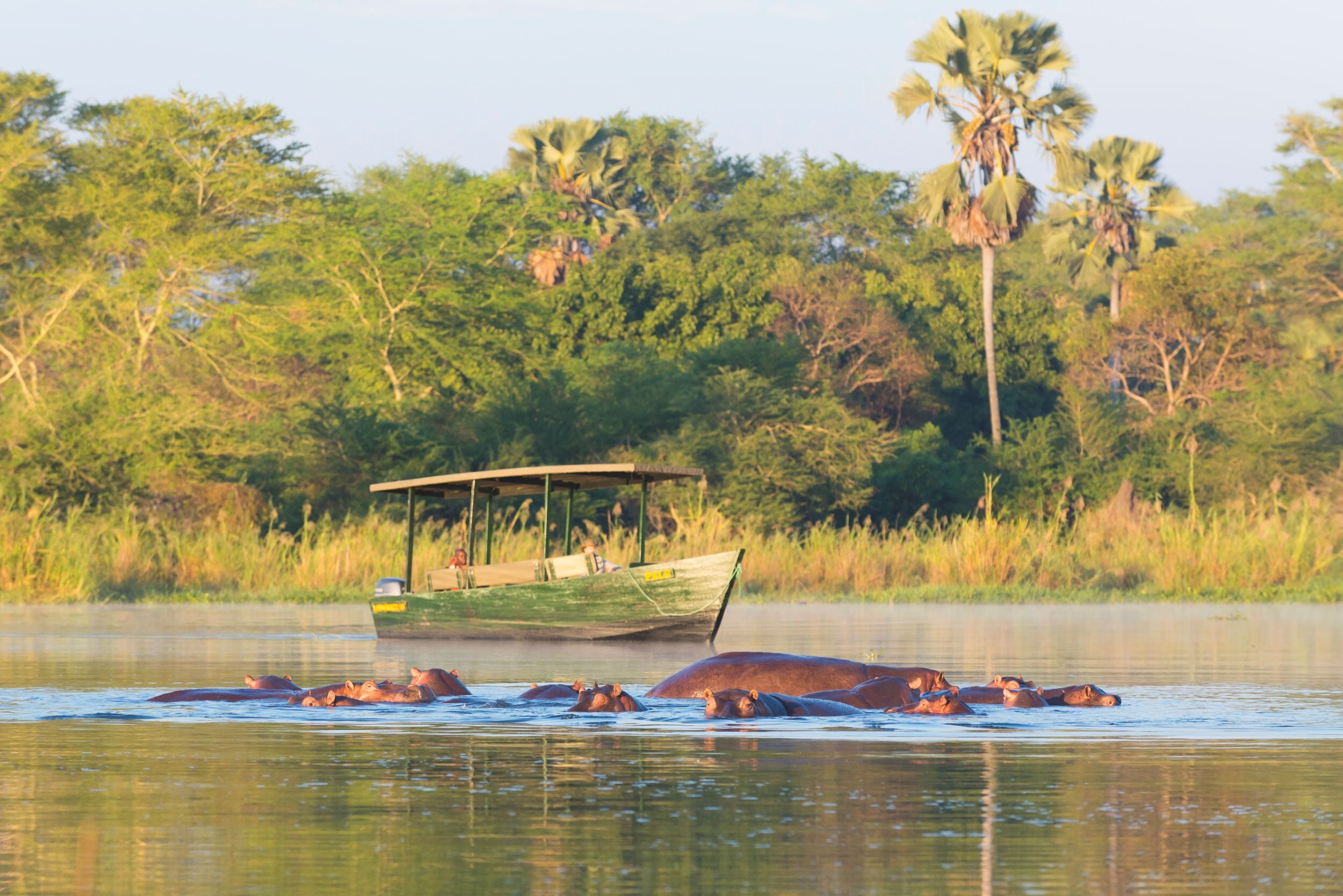Liwonde National Park Malawi Family Safaris Coral Tree Travel