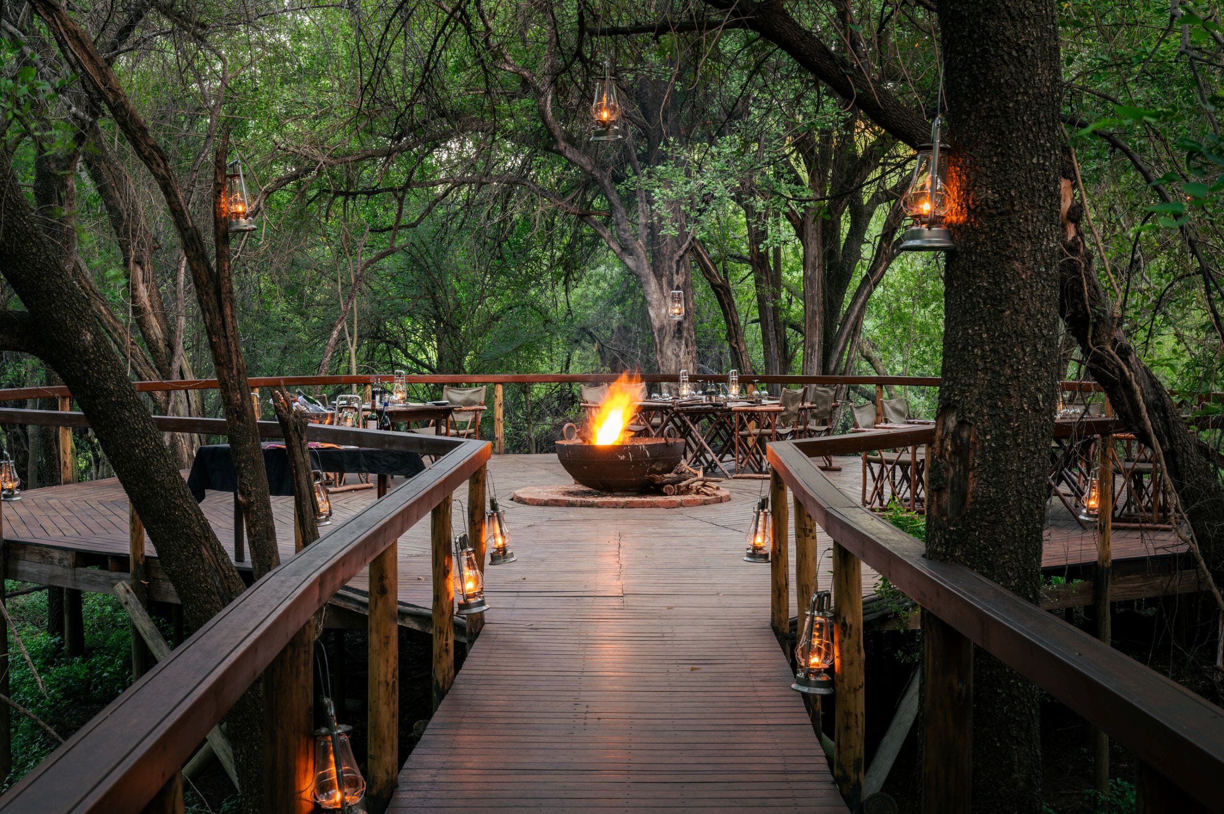 Jaci's Private Lodge Madikwe Game Reserve South Africa Luxury Family Safaris Coral Tree Travel