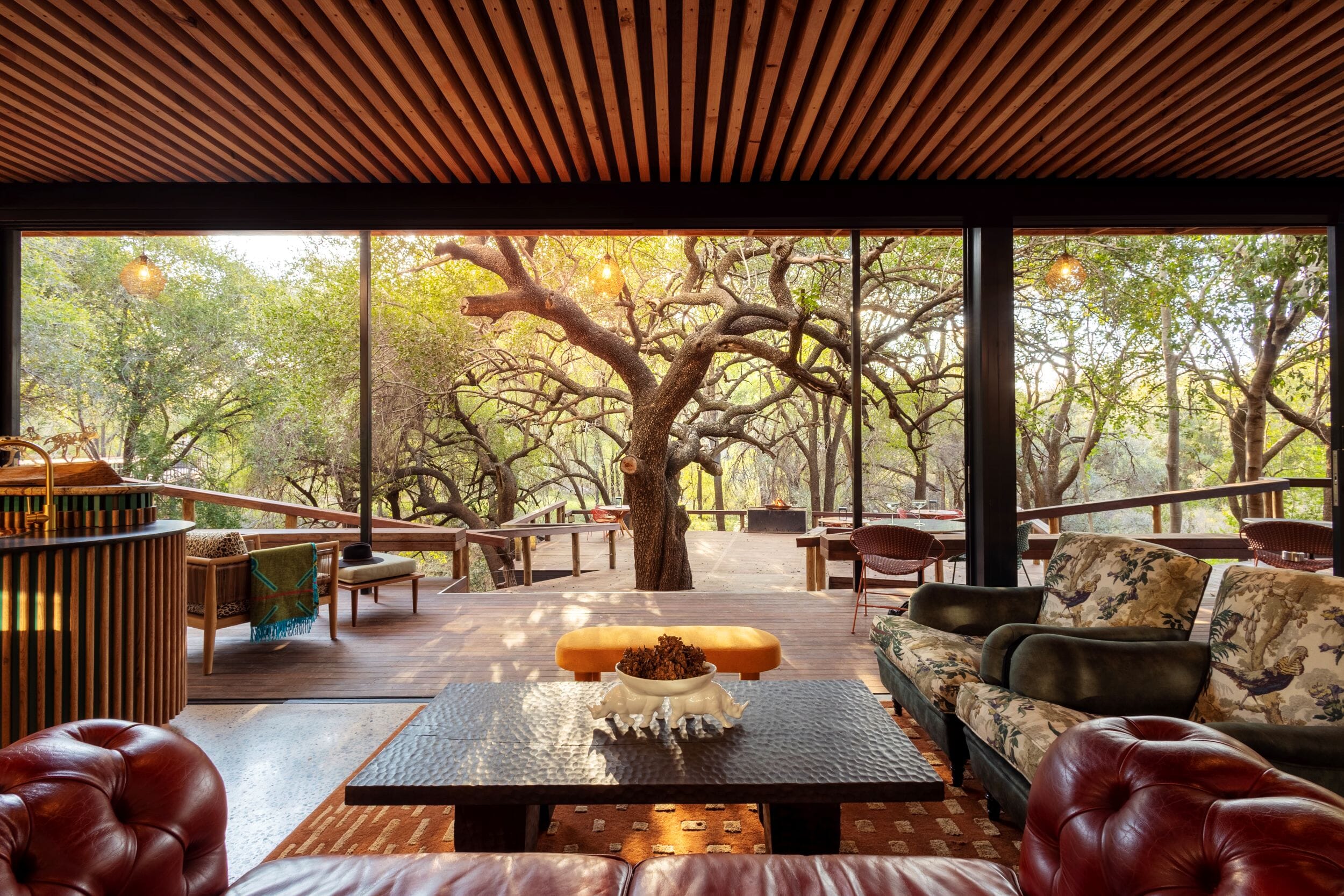 Jaci's Private Lodge Madikwe Game Reserve South Africa Luxury Family Safaris Coral Tree Travel