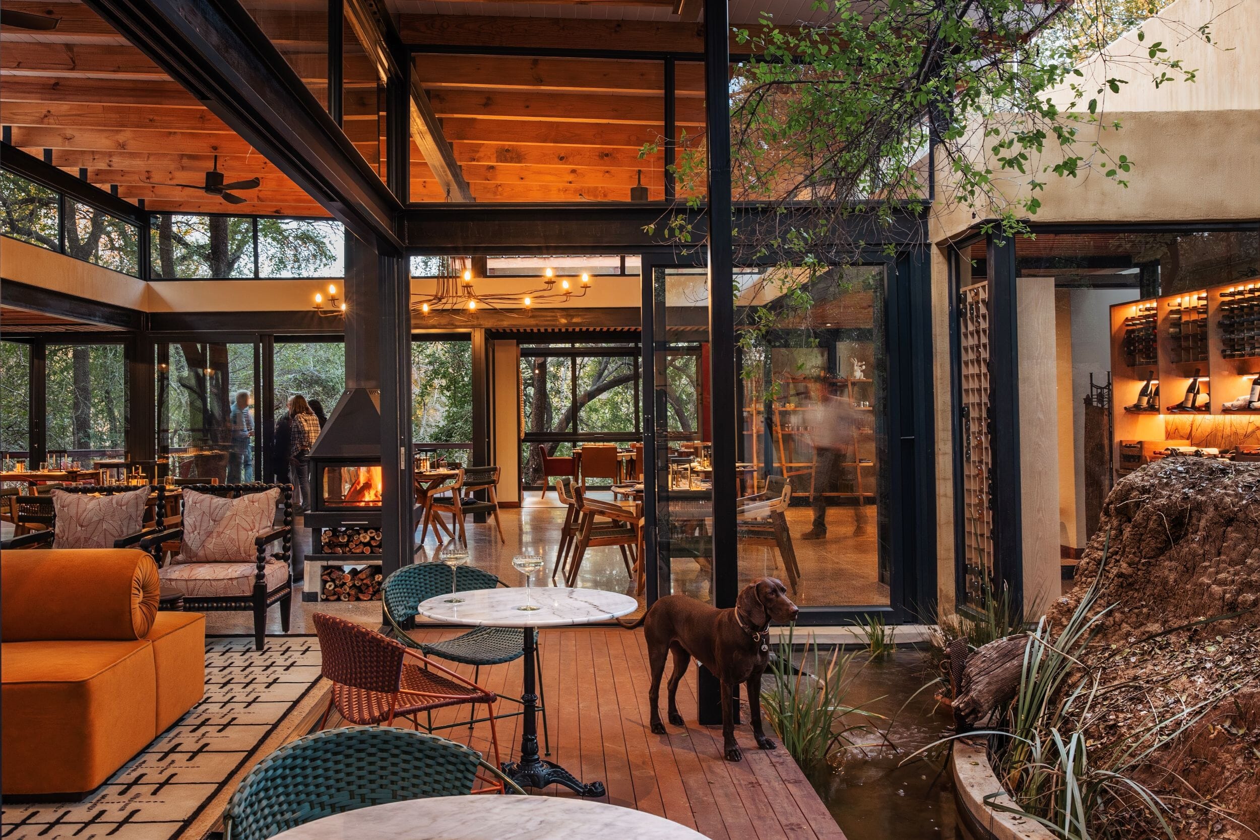 Jaci's Private Lodge Madikwe Game Reserve South Africa Luxury Family Safaris Coral Tree Travel