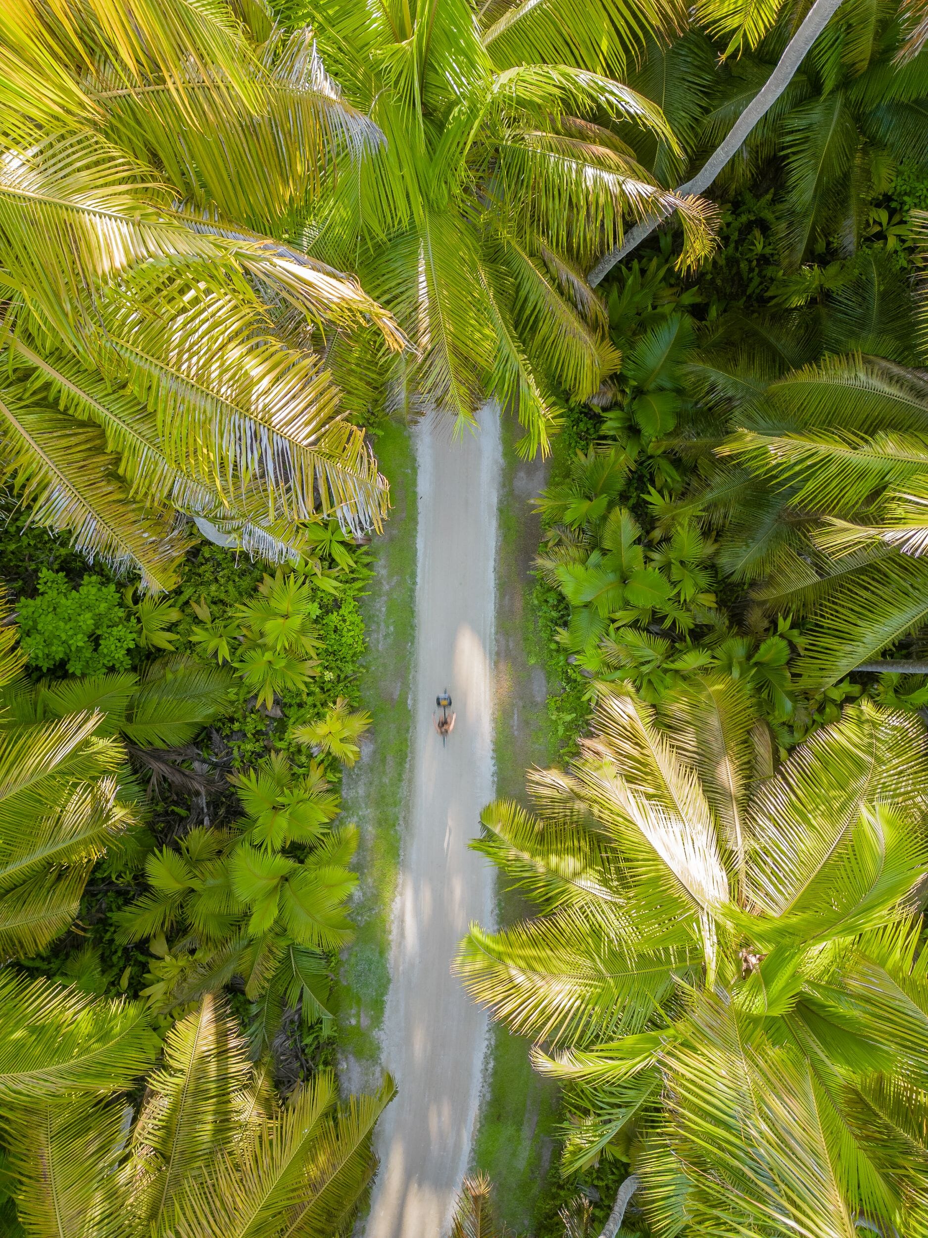 Alphonse Island Lodge_Seychelles_Luxury Family Safaris Coral Tree Travel