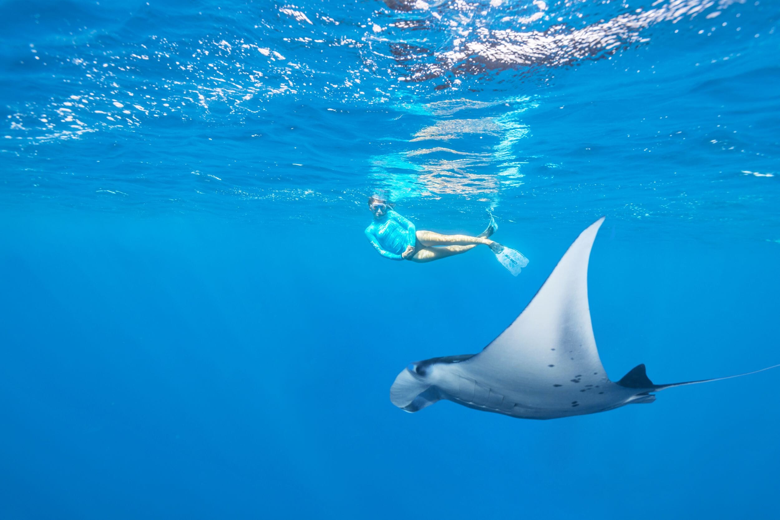Alphonse Island Lodge_Seychelles_Luxury Family Safaris Coral Tree Travel