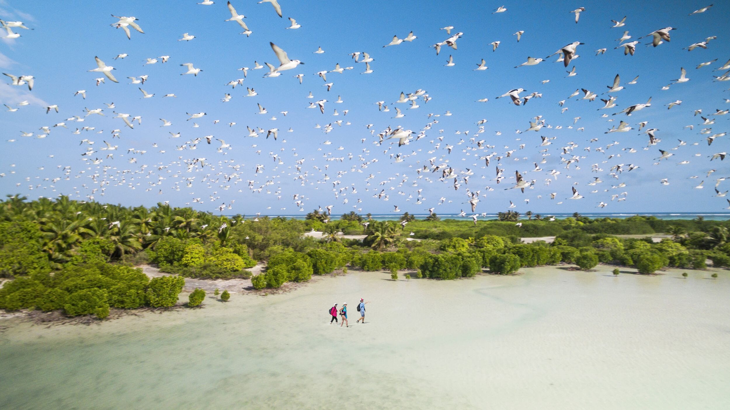 Alphonse Island Lodge_Seychelles_Luxury Family Safaris Coral Tree Travel