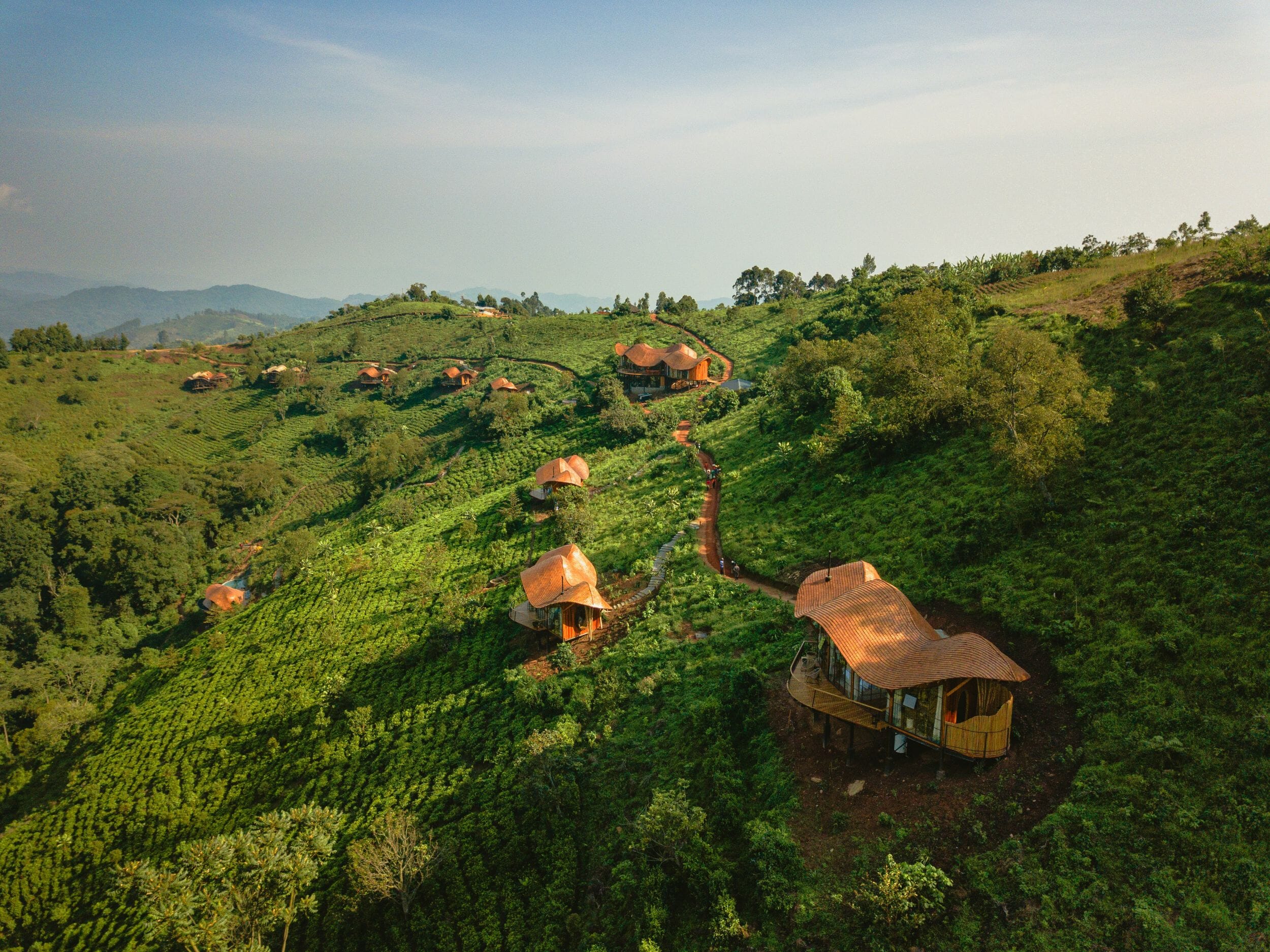 Erebero Hills_Uganda_Bwindi Impenetrable Forest_Luxury Family Safaris Coral Tree Travel