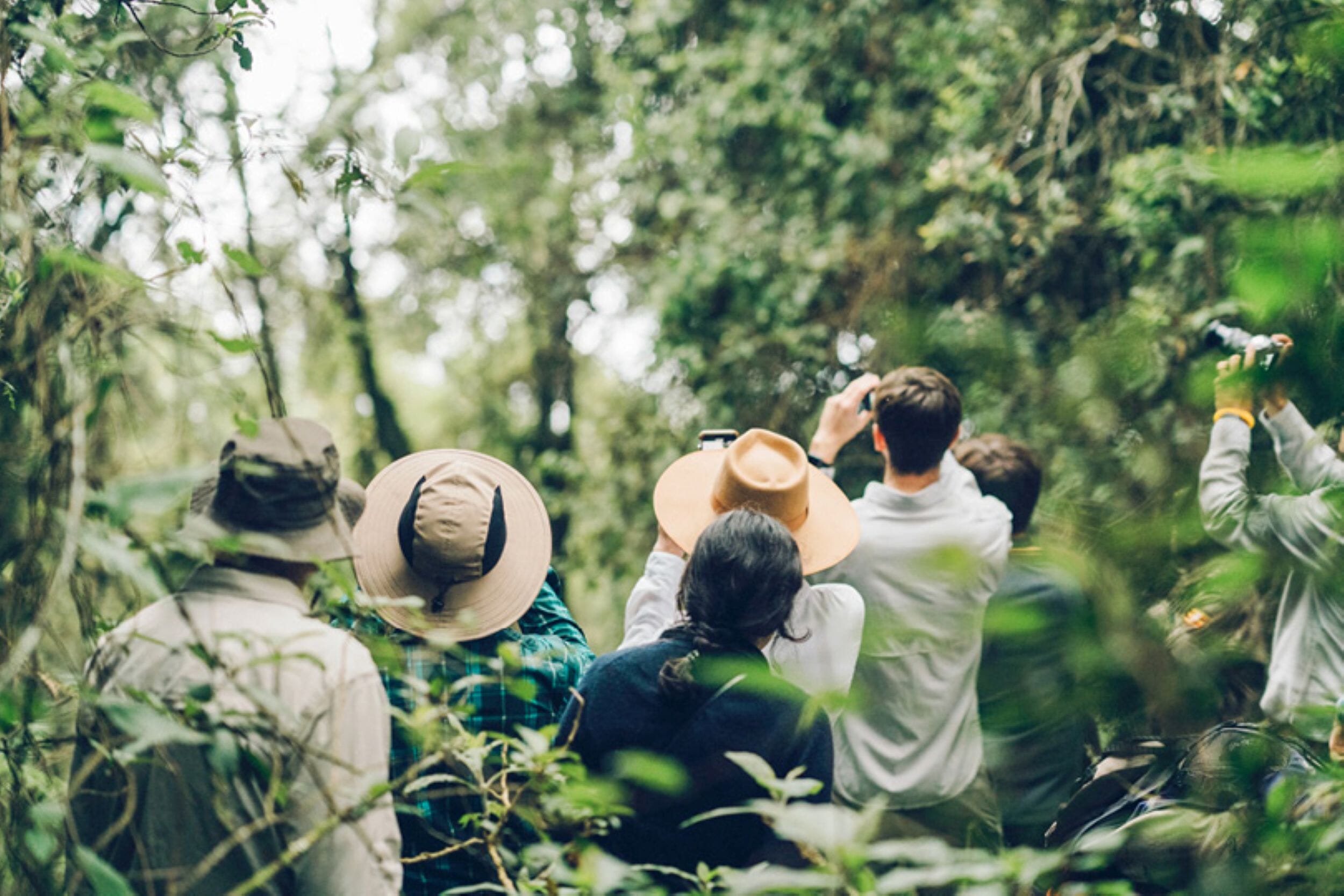 Erebero Hills_Uganda_Bwindi Impenetrable Forest_Luxury Family Safaris Coral Tree Travel