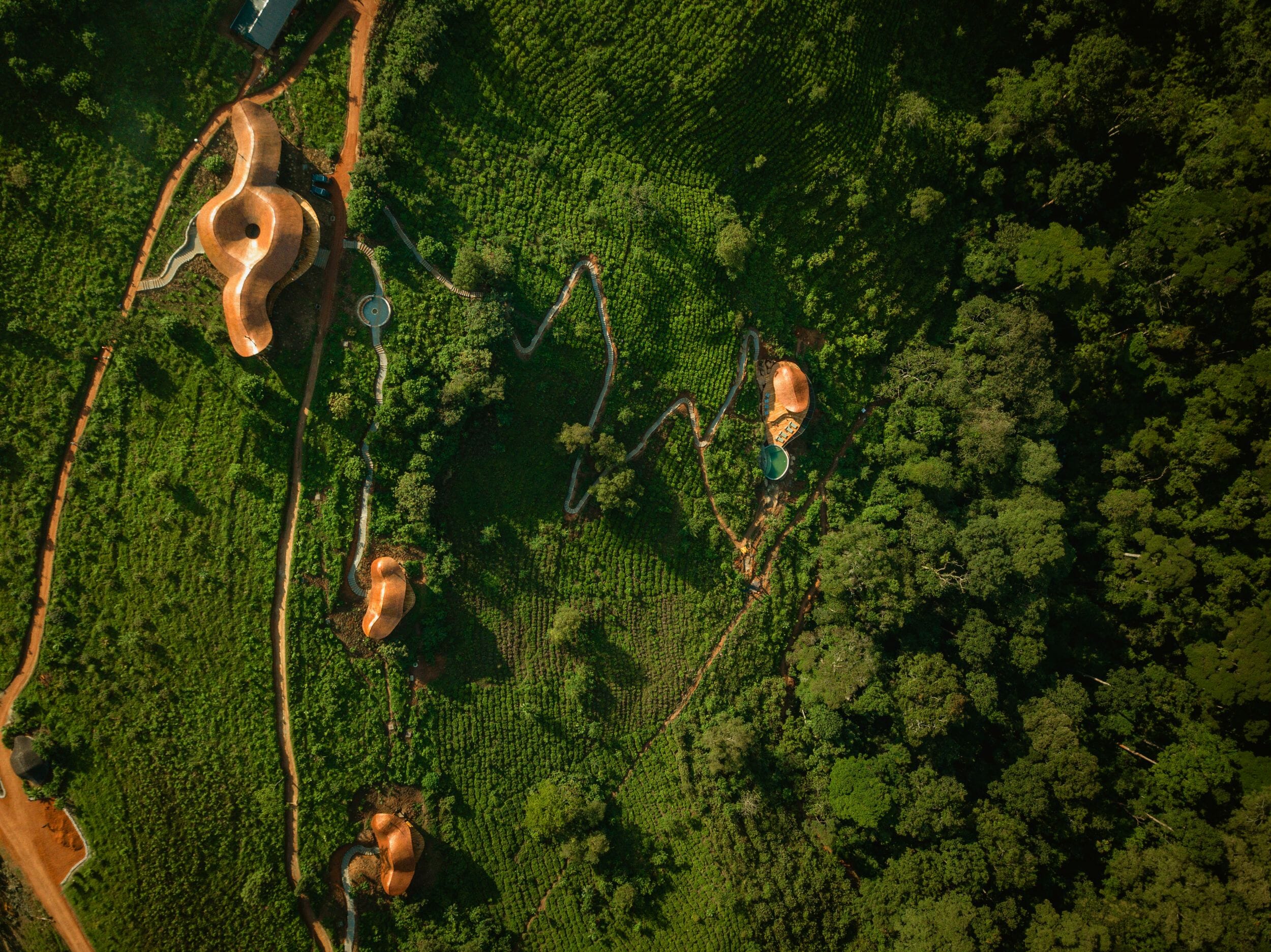 Erebero Hills_Uganda_Bwindi Impenetrable Forest_Luxury Family Safaris Coral Tree Travel