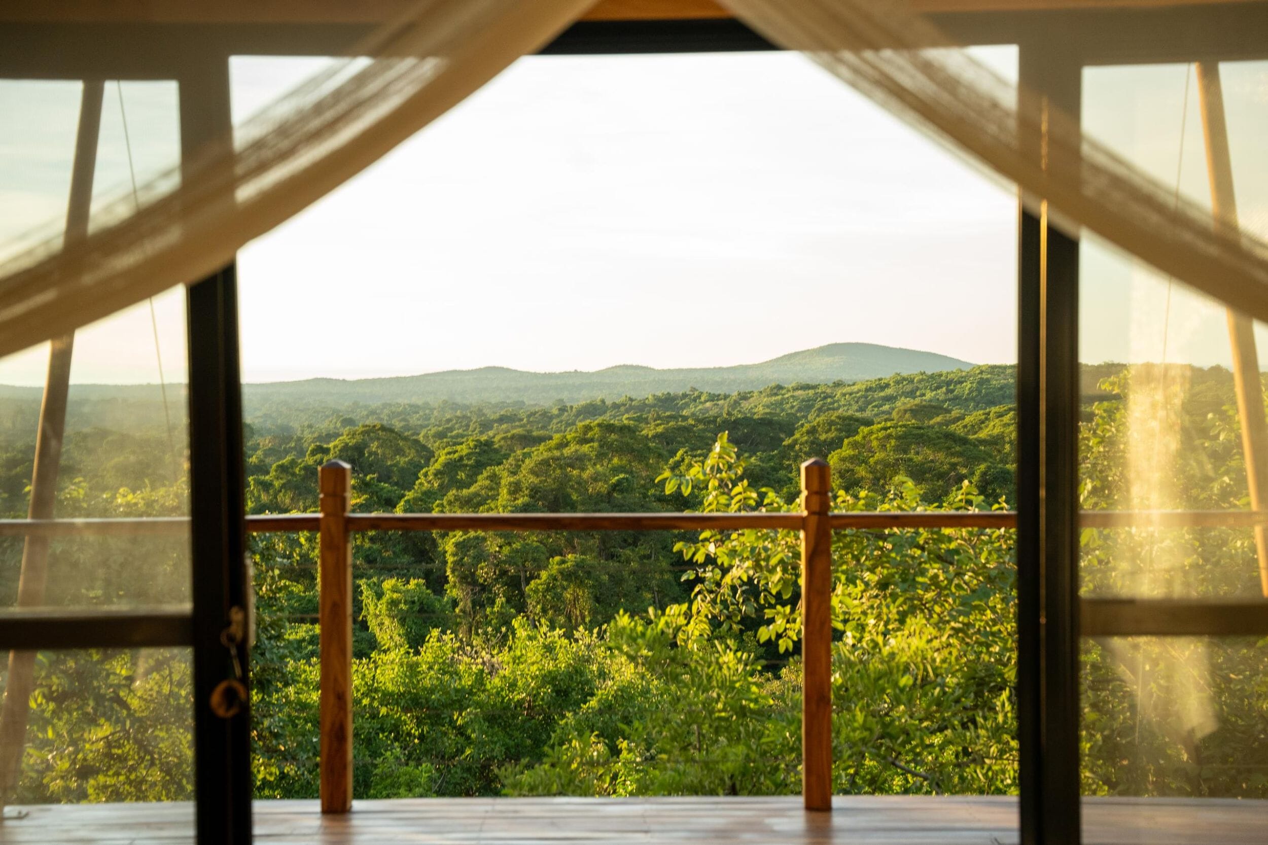 Pabidi Lodge_Budango Forest_Uganda_Luxury Family Safaris Coral Tree Travel