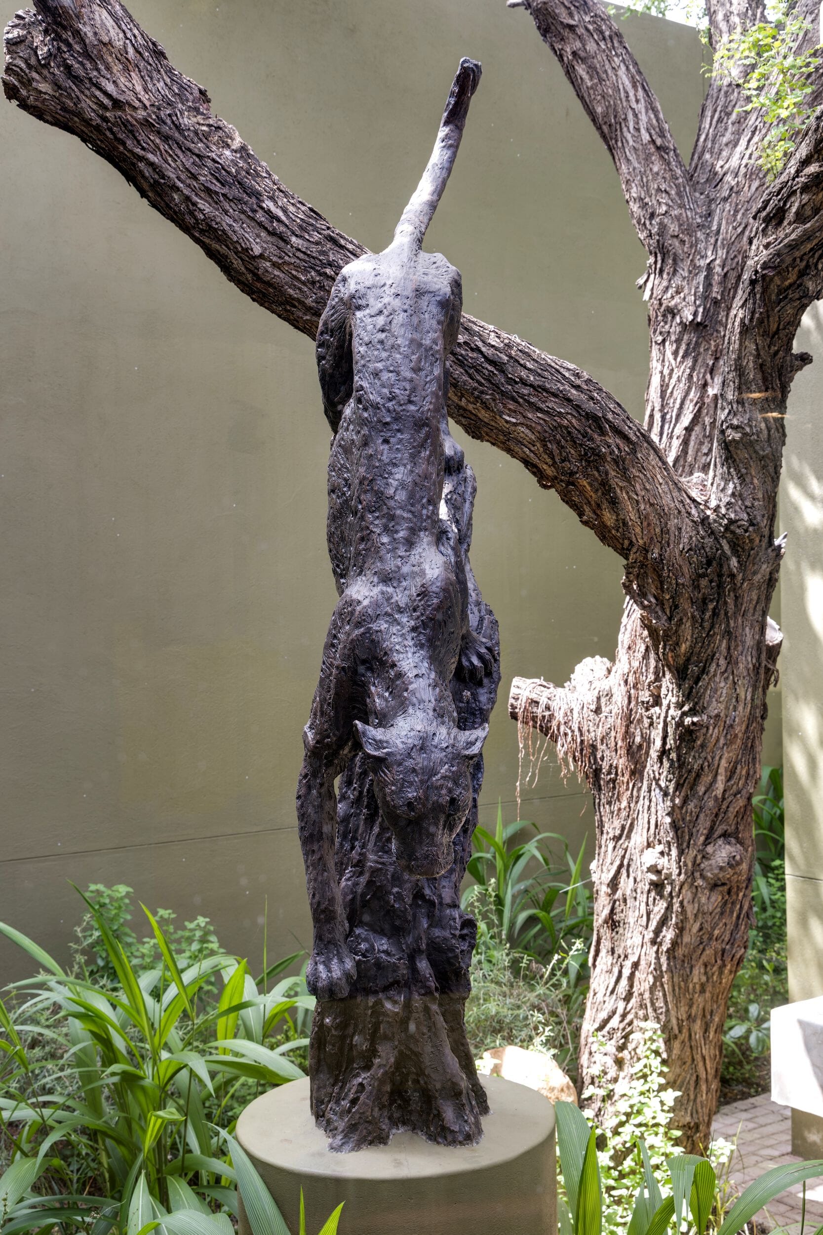 RockFig Timbavati Game Reserve, South Africa, Luxury Family Safaris Coral Tree Travel